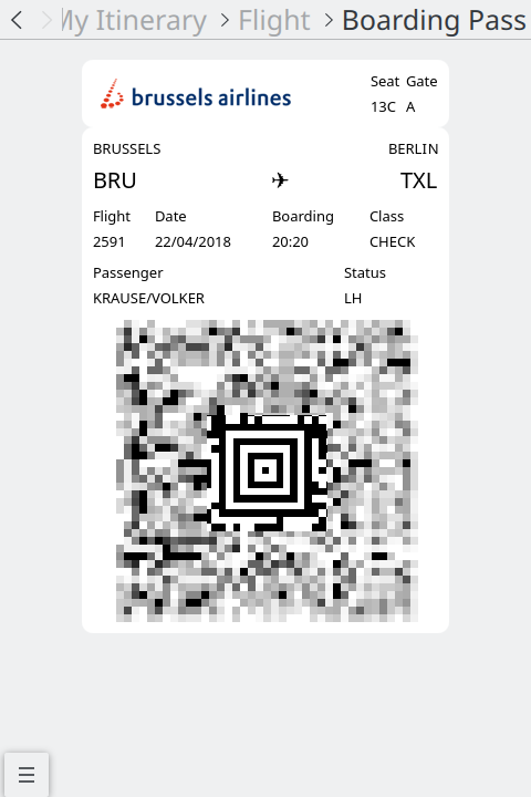 Boarding pass view